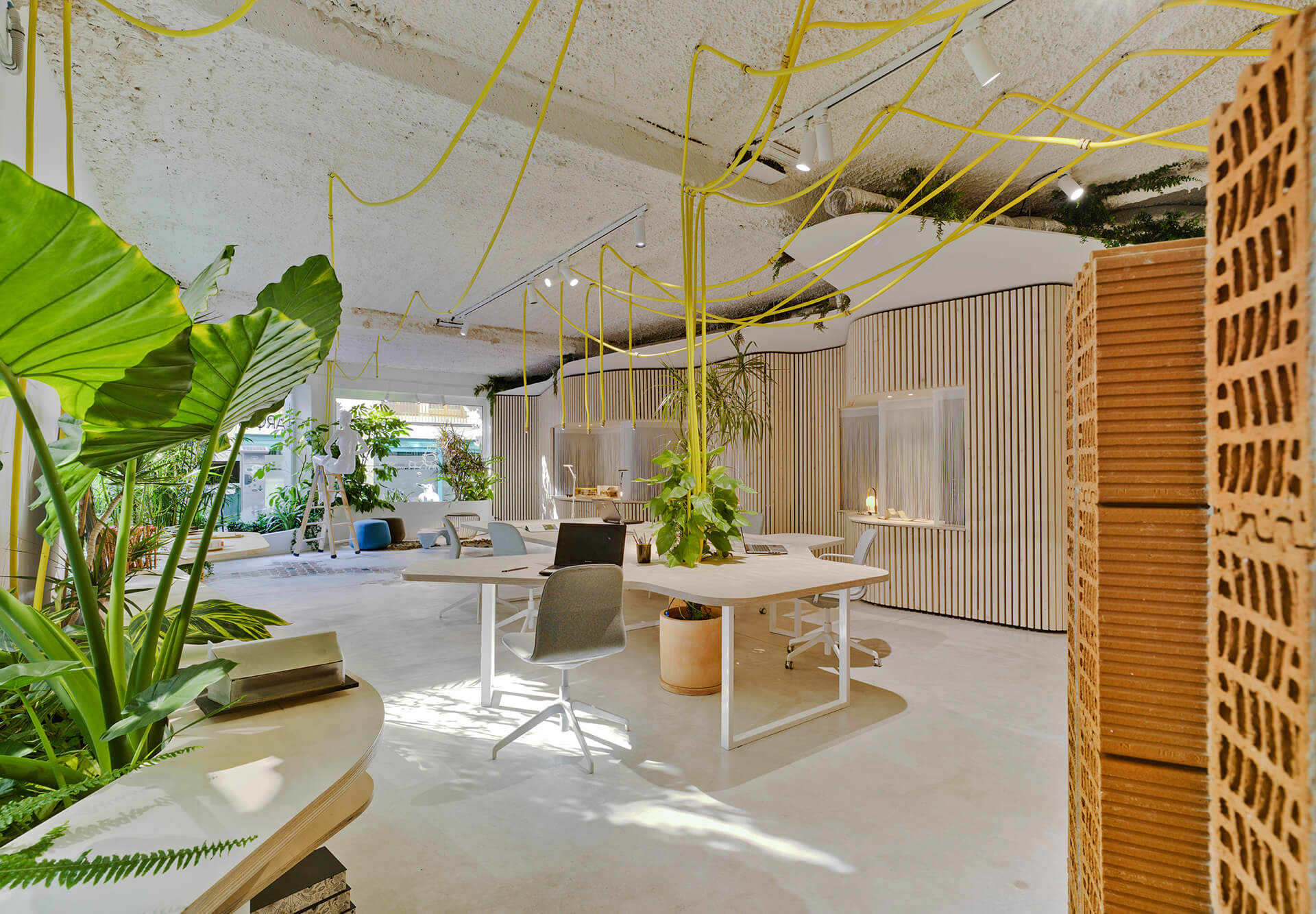 Estudio arquitectura Elche