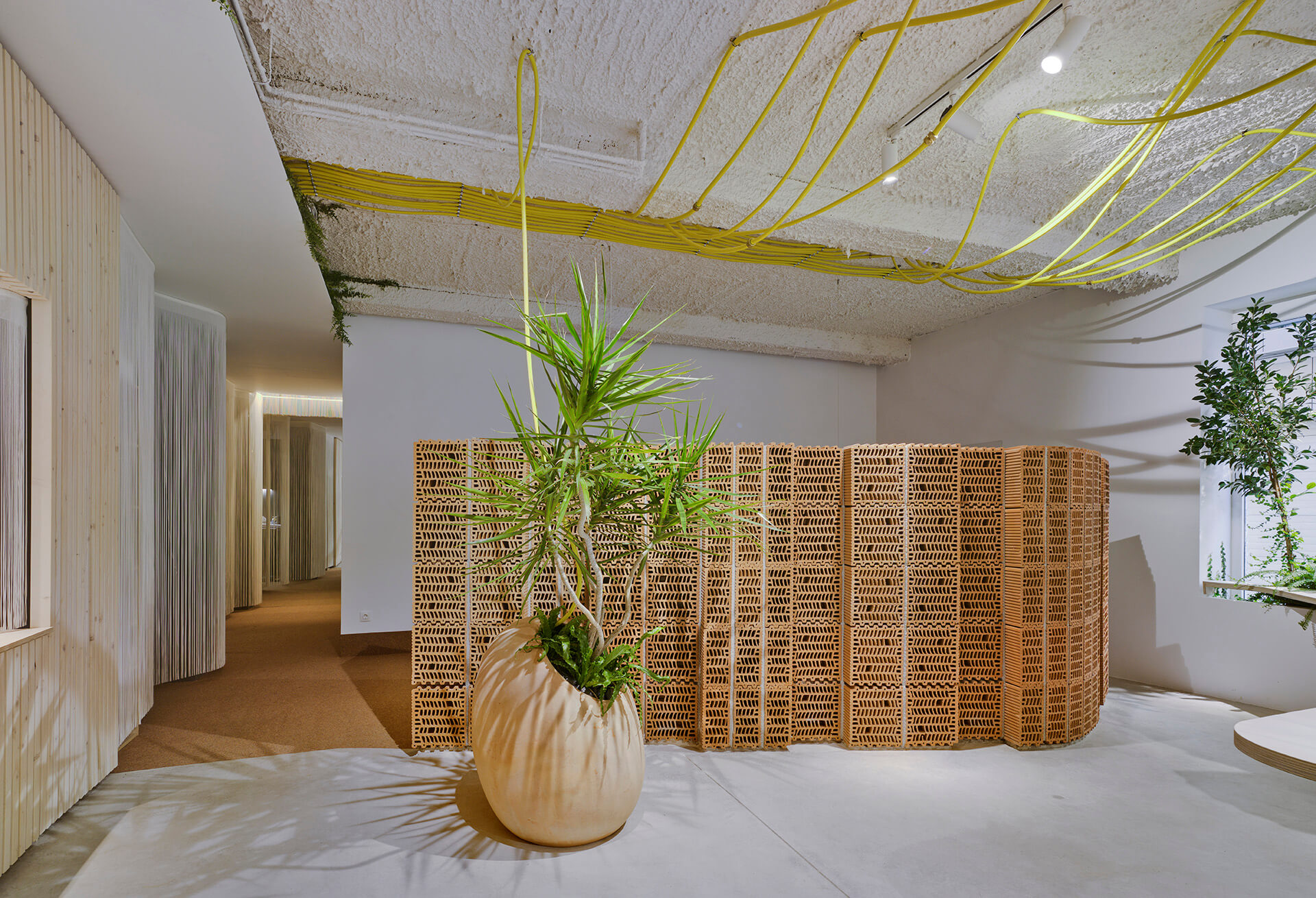 Diseño oficinas Elche