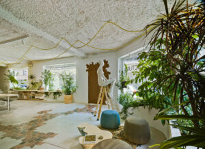 Plantas de interior